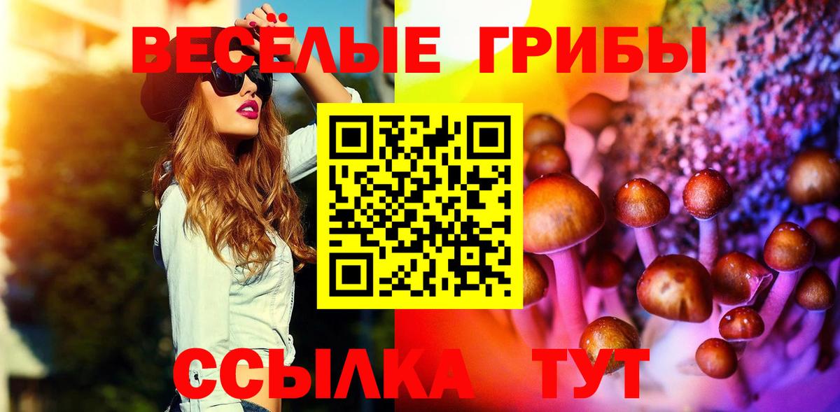 Рузаевка  Псилоцибиновые грибы GOLDEN TEACHER  Вход с VPN 